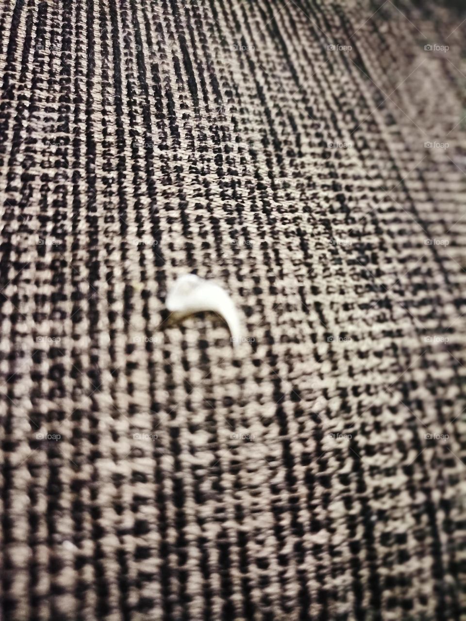 I am not hooked. I was shed off