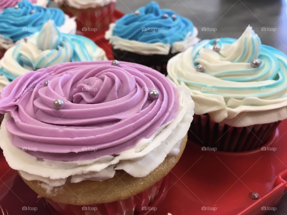 Pretty pink and blue frosting chocolate and vanilla cupcakes on tray 