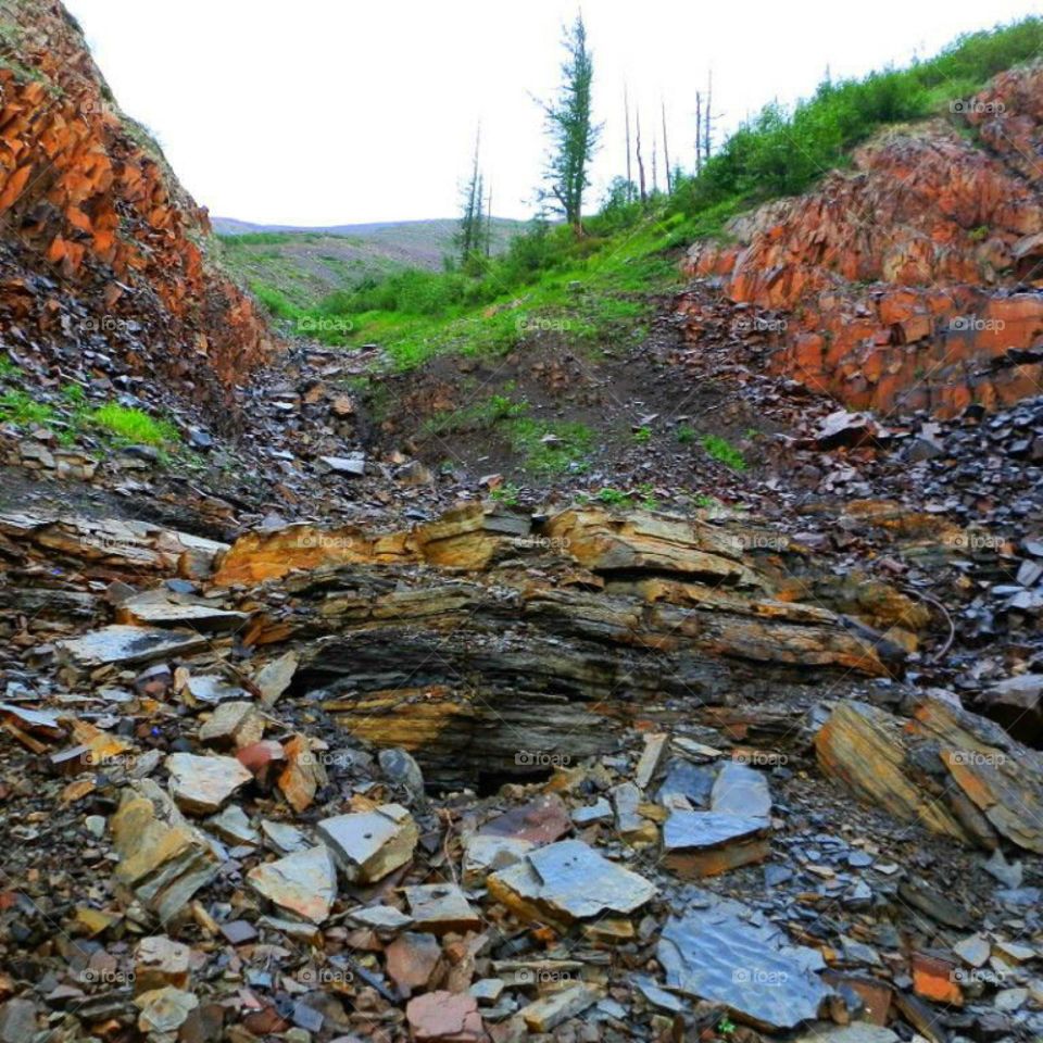 Природа Весна