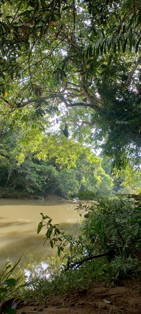 the beauty of nature