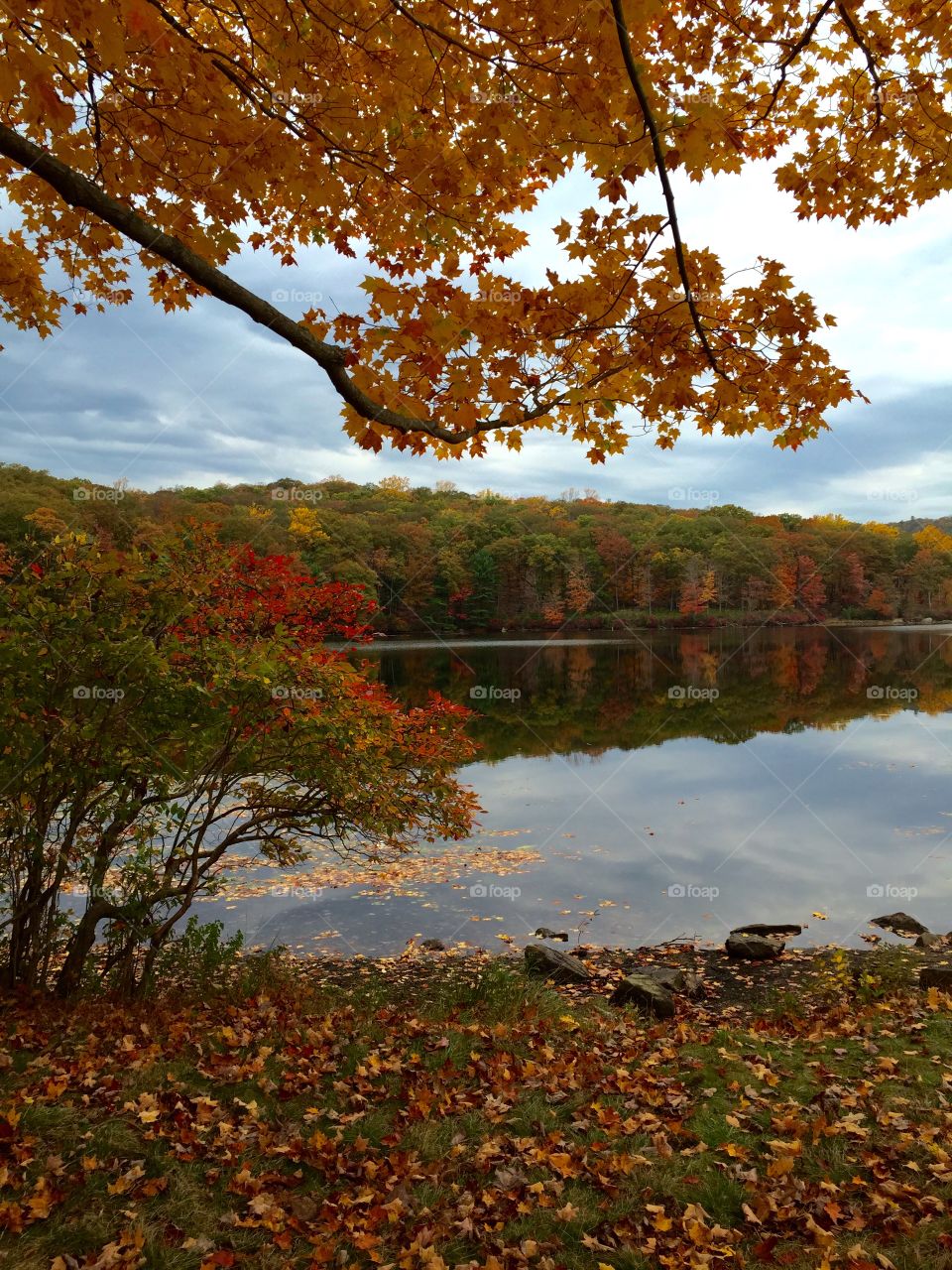 Trees and clouds reflected on lake during autumn