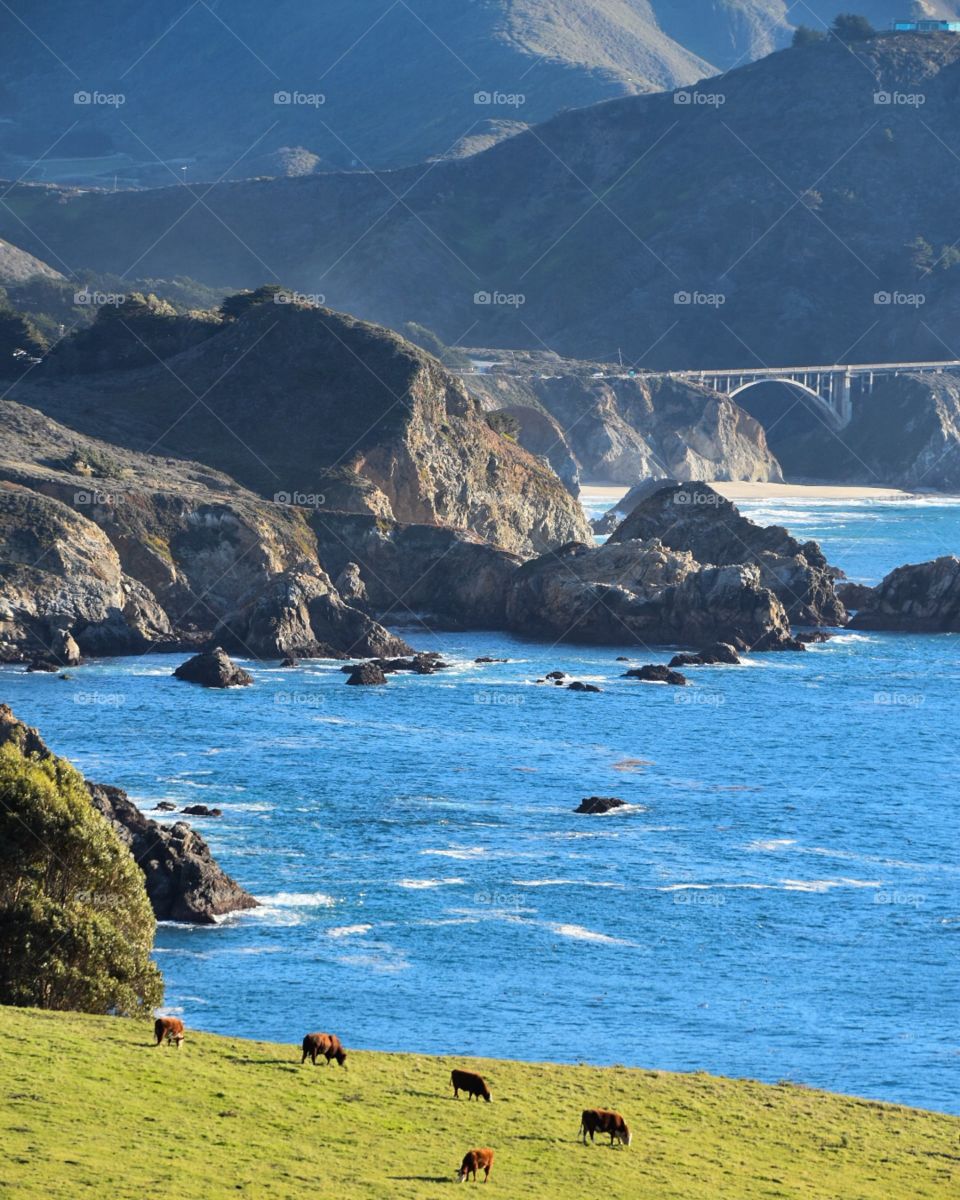 California Coast