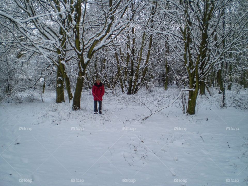 A walk in the snow