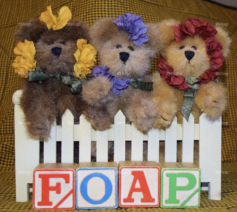 Three Bears. “FOAP”