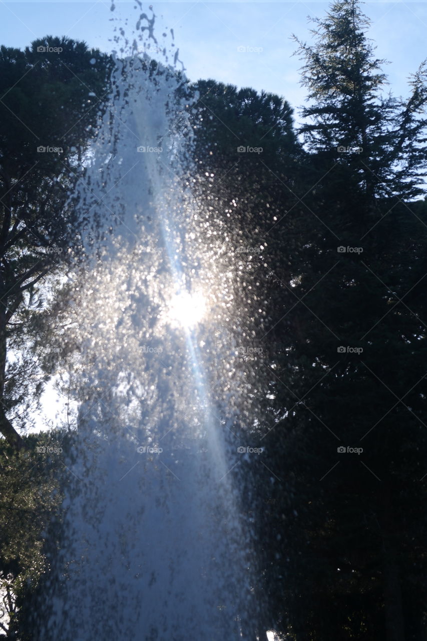 fontana d'acqua nella pineta