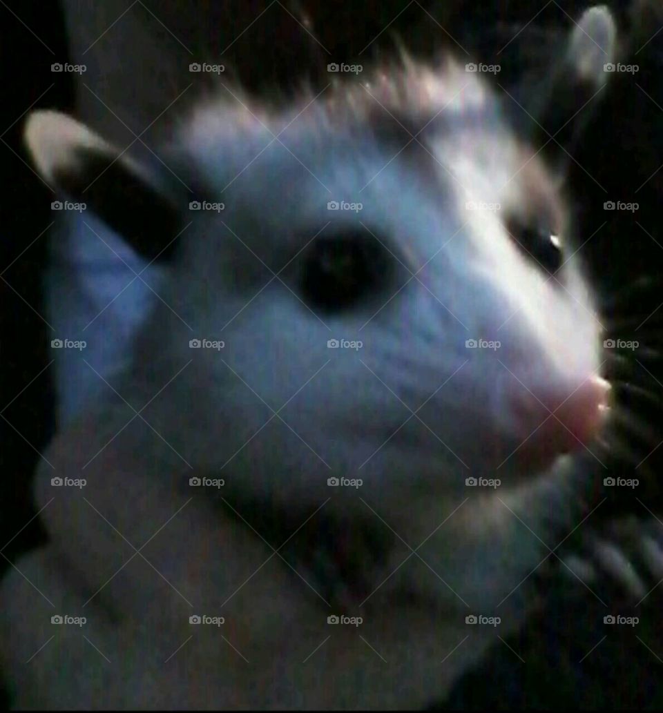 she's always wanting held always!