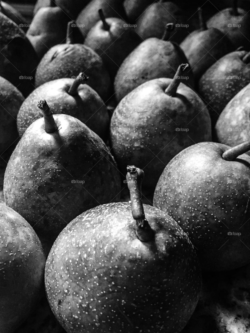 Pears black-and-white