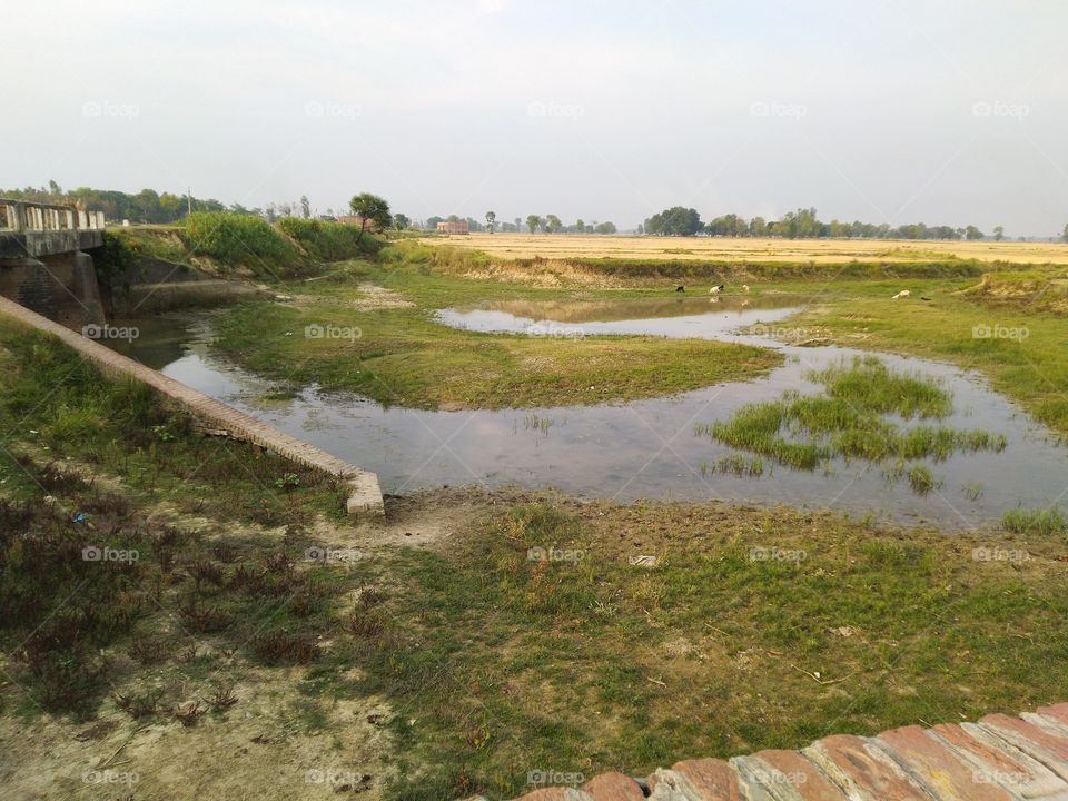 pond small amount of water in Indian village agriculture field in India Mohangarh