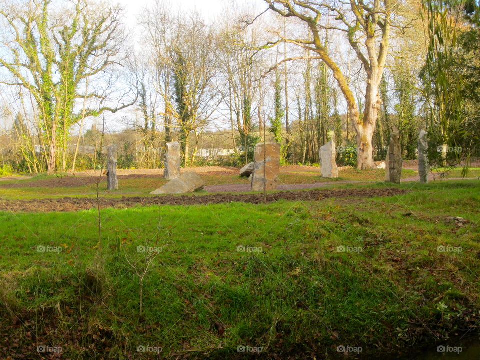 Landscape, Tree, Nature, Grass, No Person