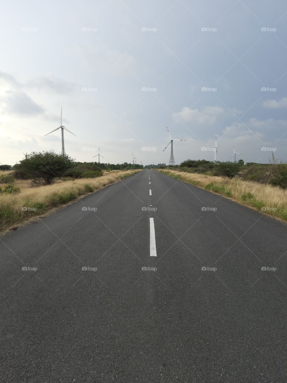 Narrow road on summer...Roadside view...Travell over it..