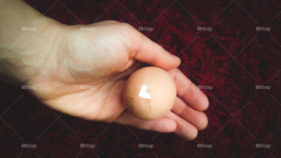 Egg