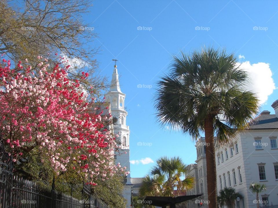 Charleston SC spring