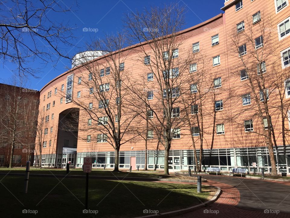 Northeastern University in Boston