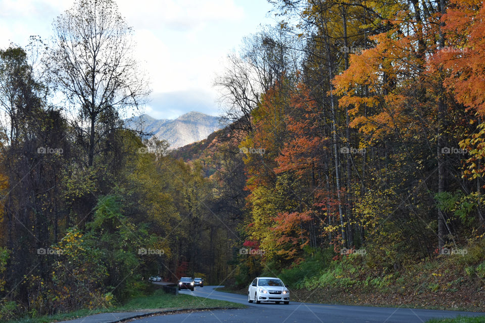 Scenic fall evening drive - cars on curvy mountain road
