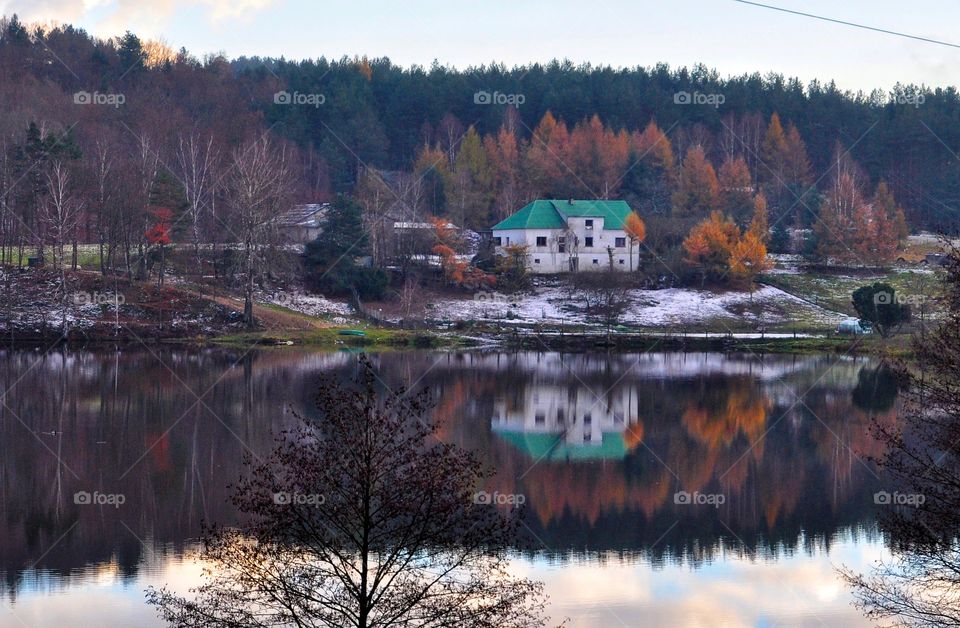 Water, Fall, Nature, River, Tree