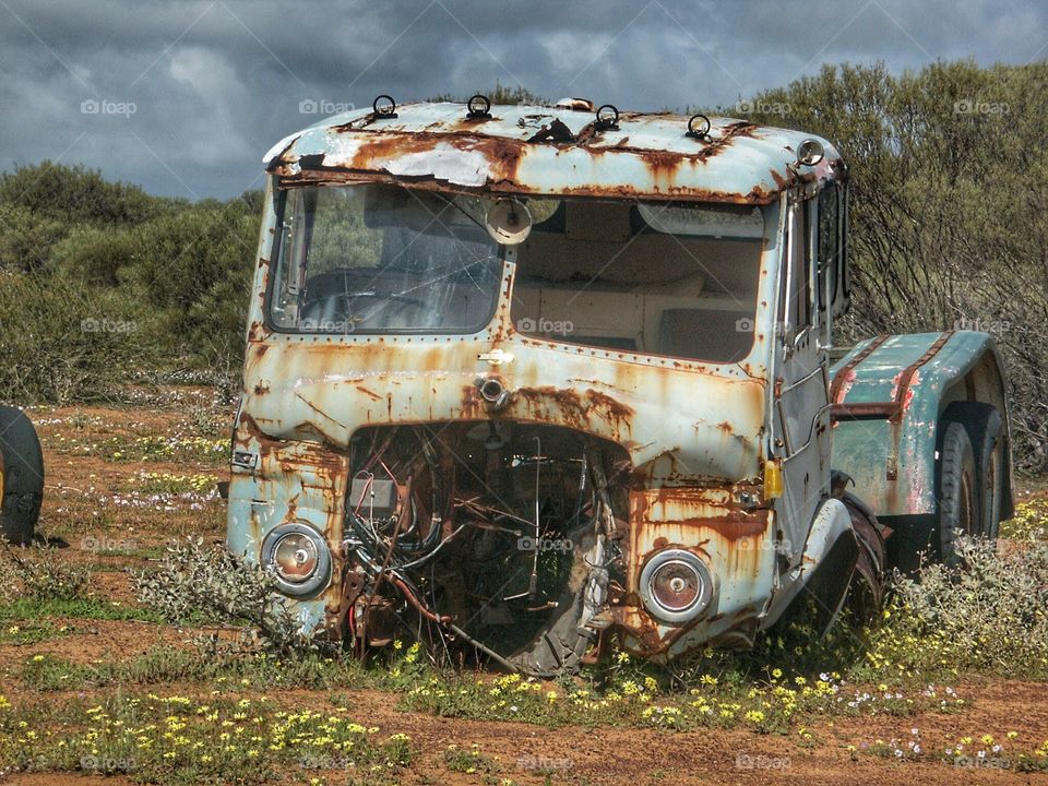 I saw this truck in a field when I was out shooting wildflowers in western Australia
