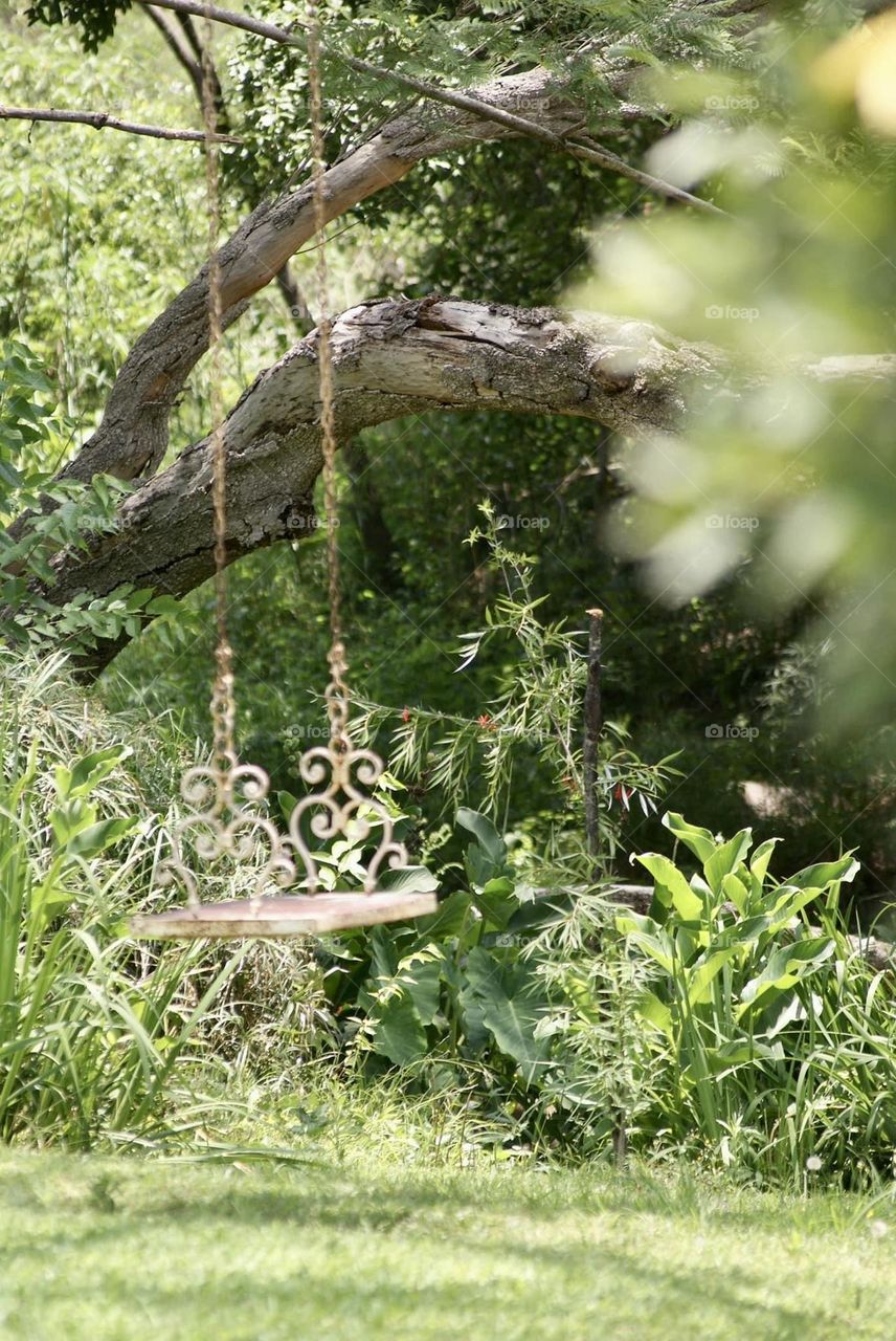 A swing befitting a Forrest fairy 