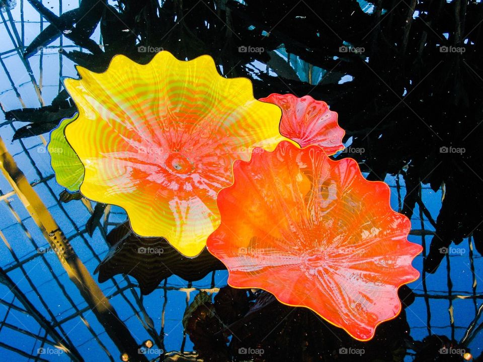 Chihuly glass art