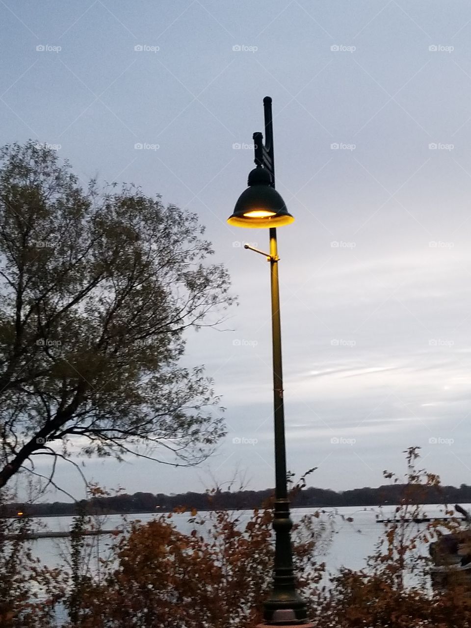 Lonely lake light