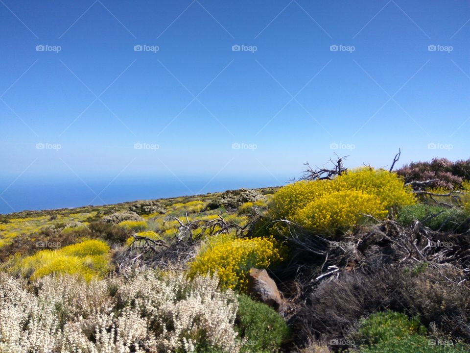 Tenerife Teide