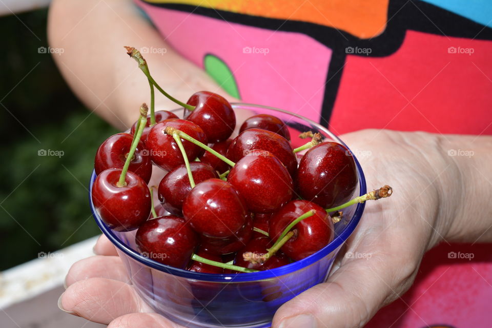 red cherry tasty summer food in the female hands