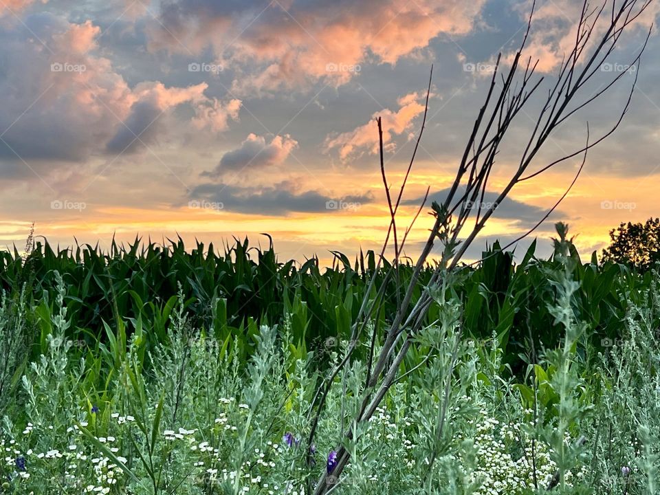 Sunset and clouds облака и закат