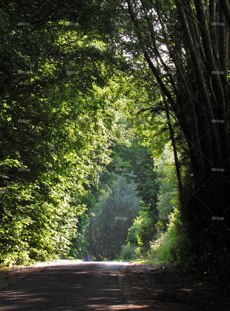 Green arch