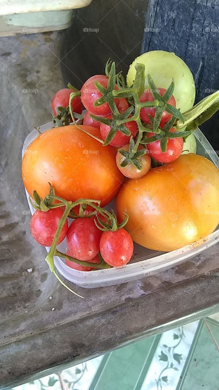 cherry tomatoes