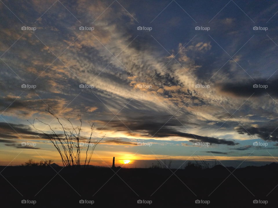 Scenic view of sunset