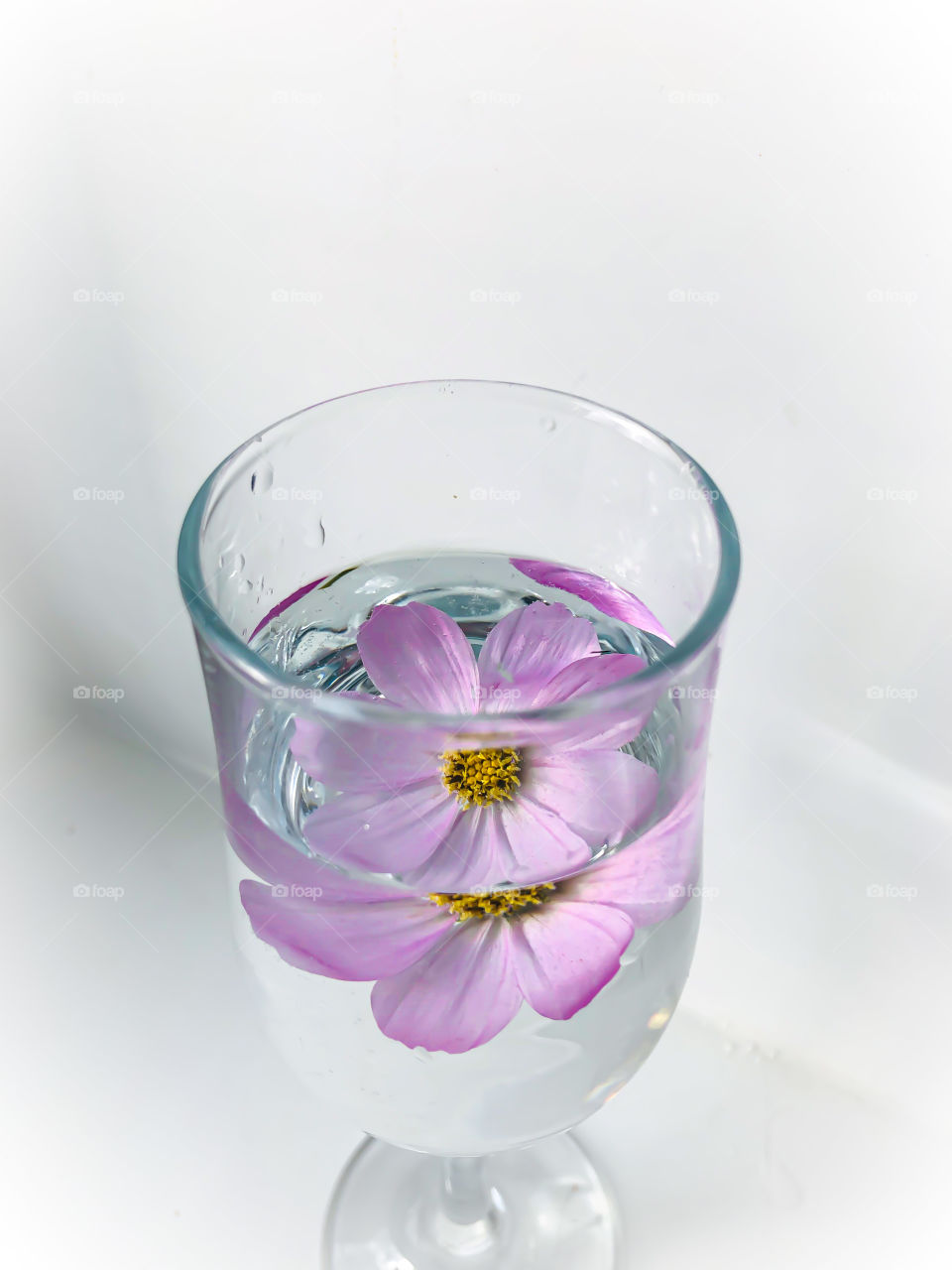 Отражение в воде цветочка