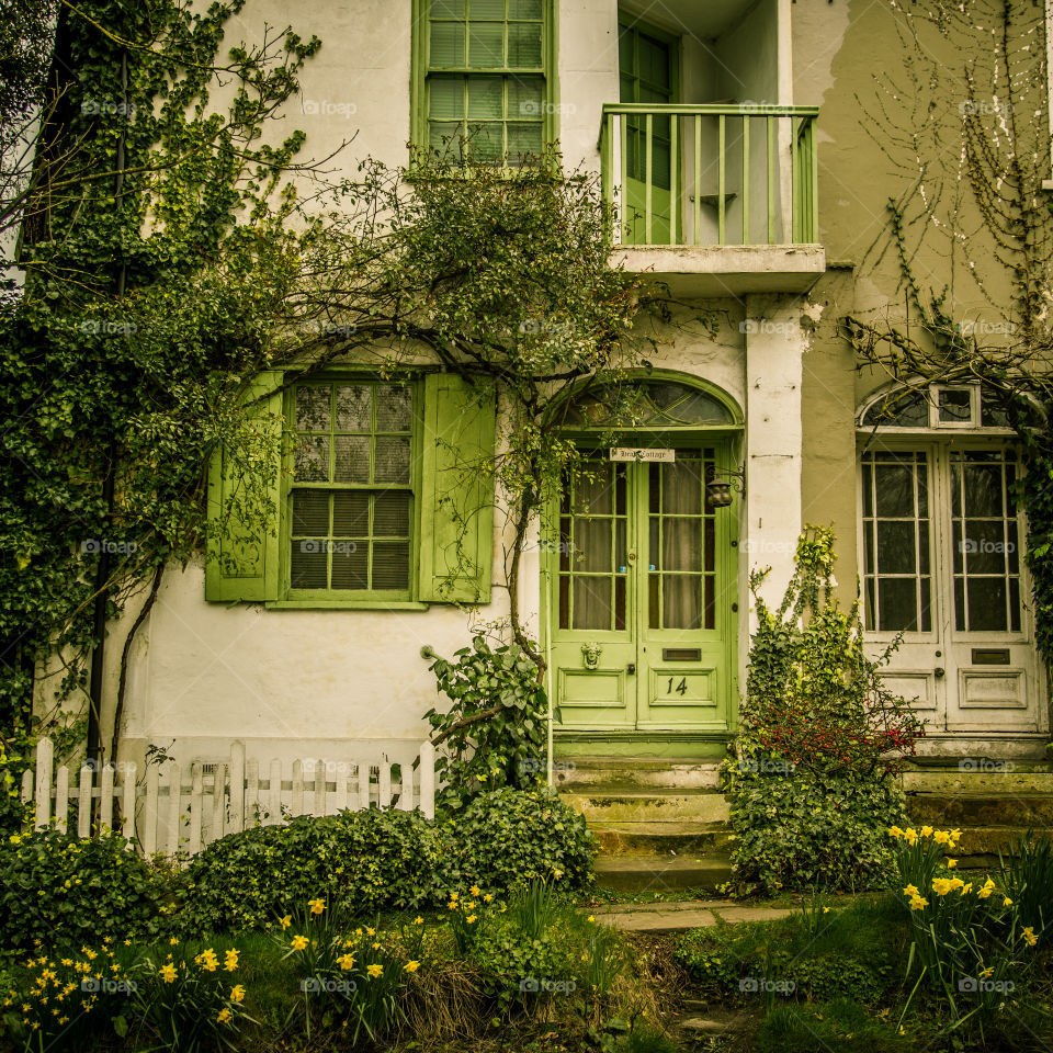 House, Architecture, Building, Window, No Person