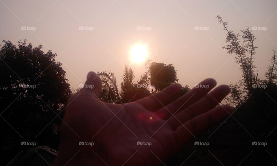 sun on my hand