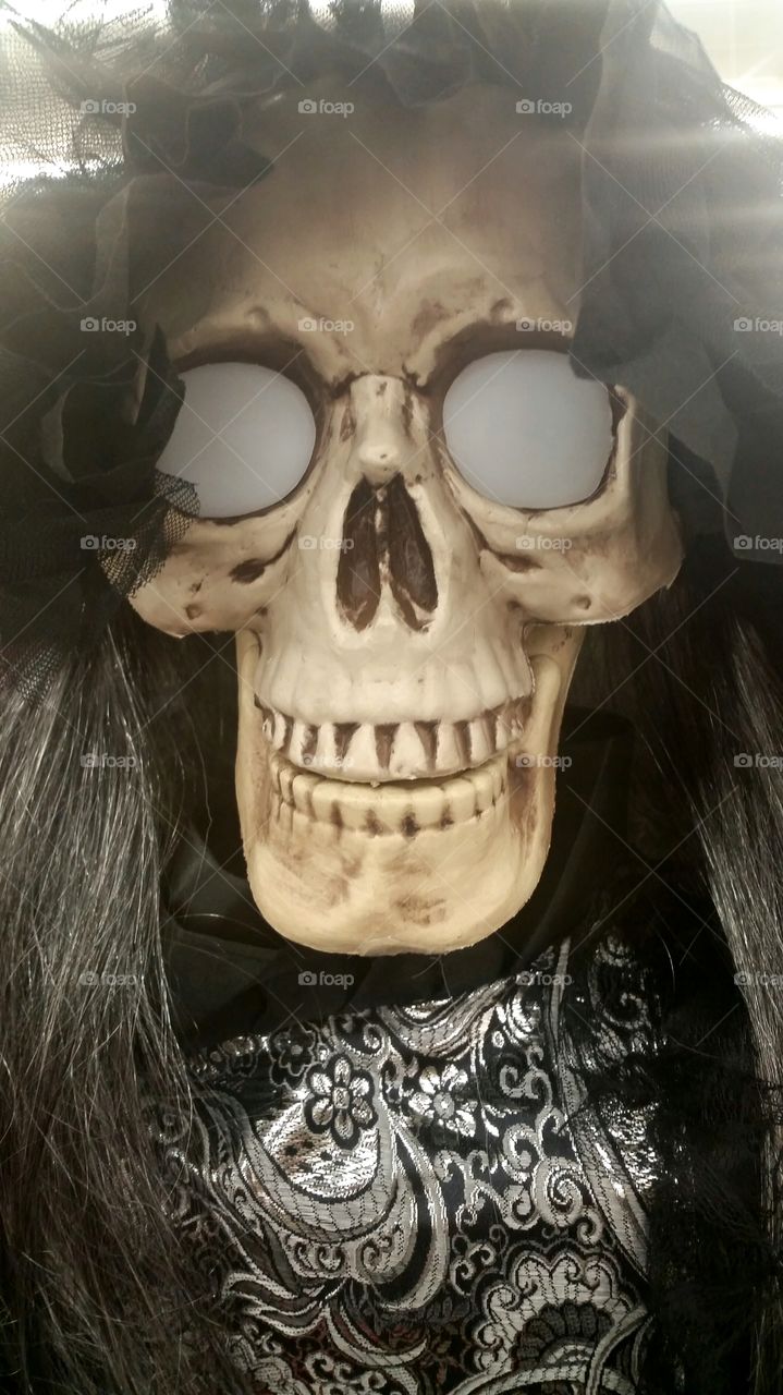 Spooky Skelton Head. Halloween Photograph