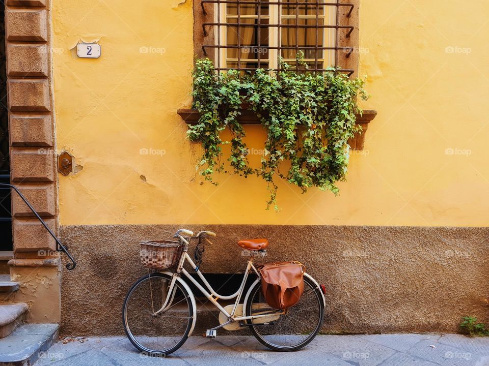 white bike with basket and leather luggage rack placed under a window with pots and plants