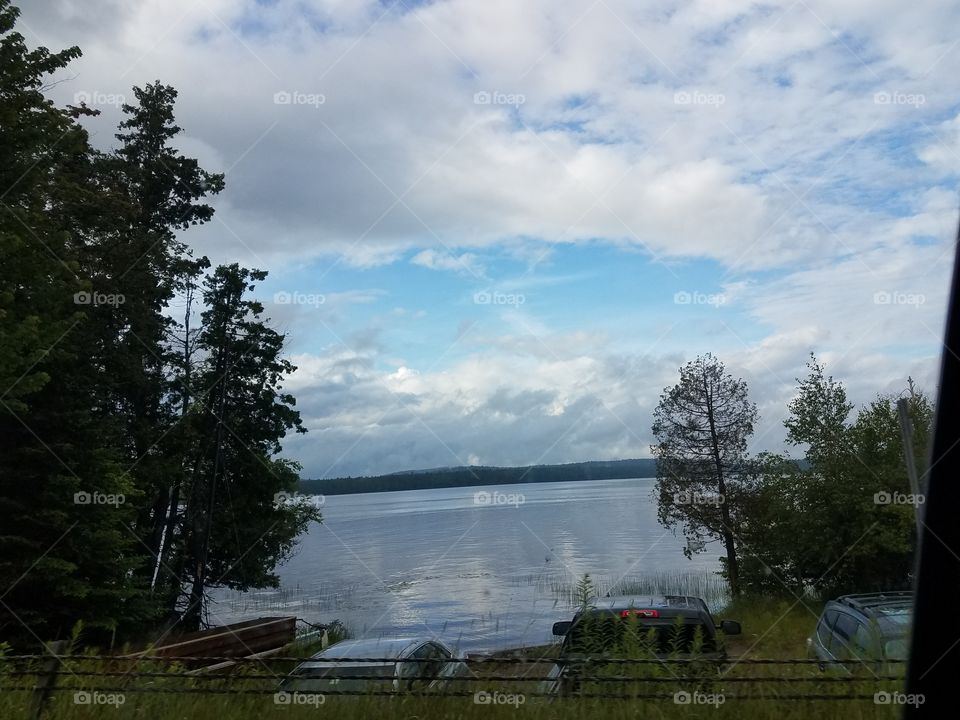 Tree, Lake, Landscape, No Person, Water