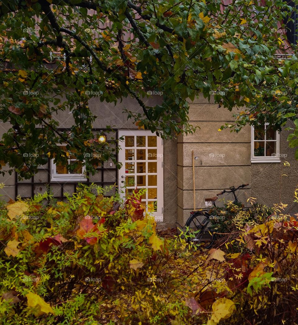 Forest memories from the capital in Norway.  Beautiful old houses with frame om fall leafs