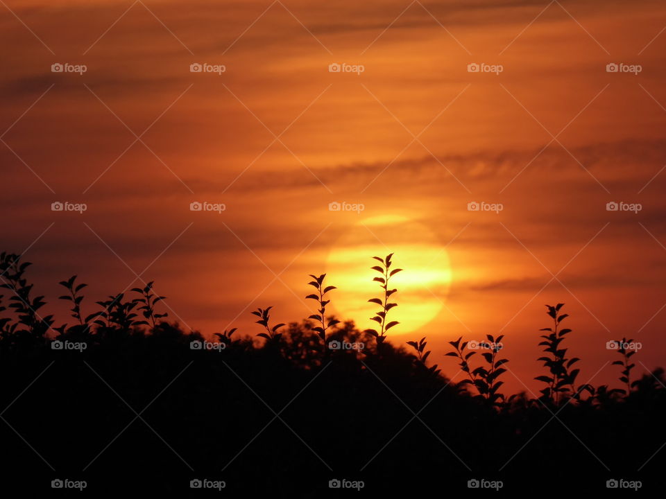 Silhouettes at Sunset bright orange Cloudy sky 