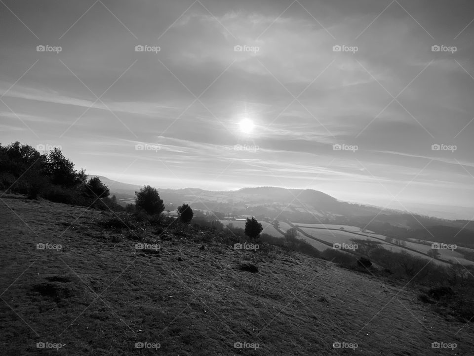 Black and white view