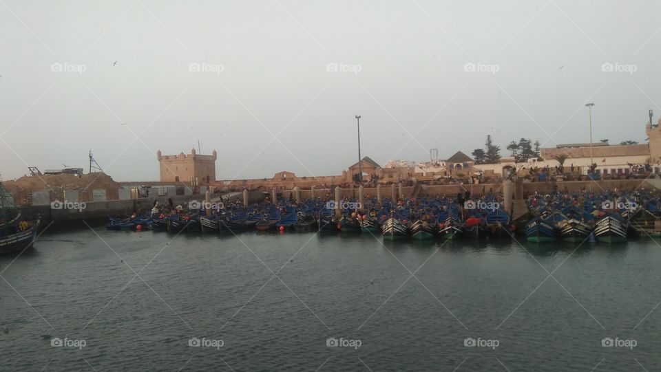 boats moored in the harbor.