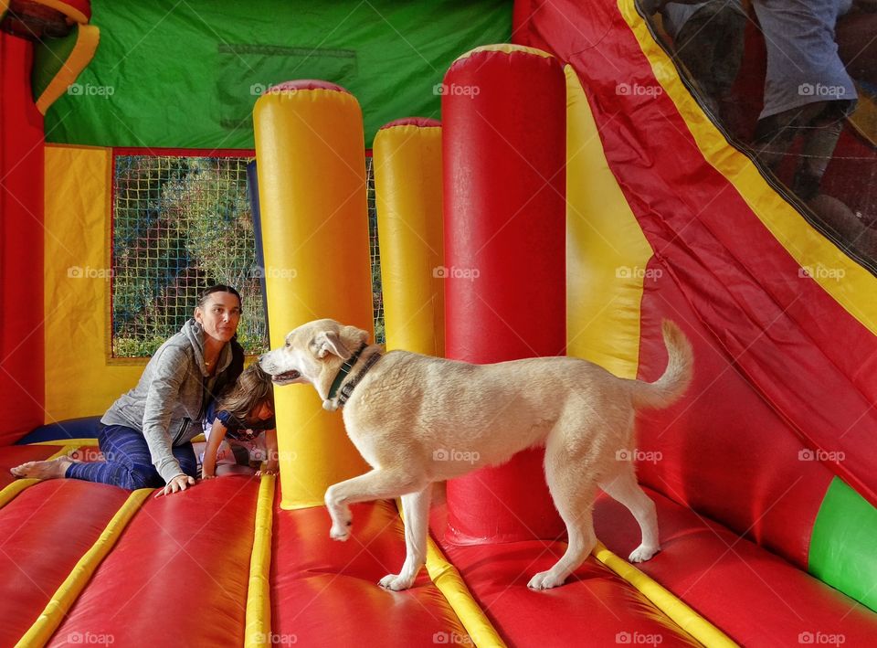 Bounce House Fun. Mom And Daughter In A Bounce House With The Family Dog
