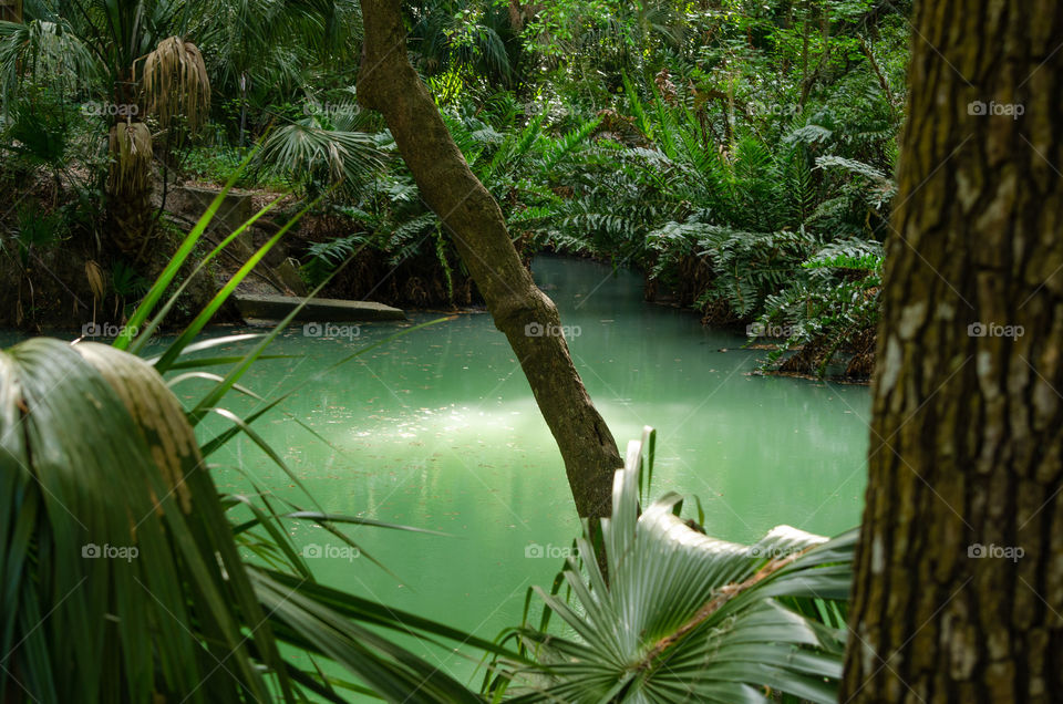 Green Pond