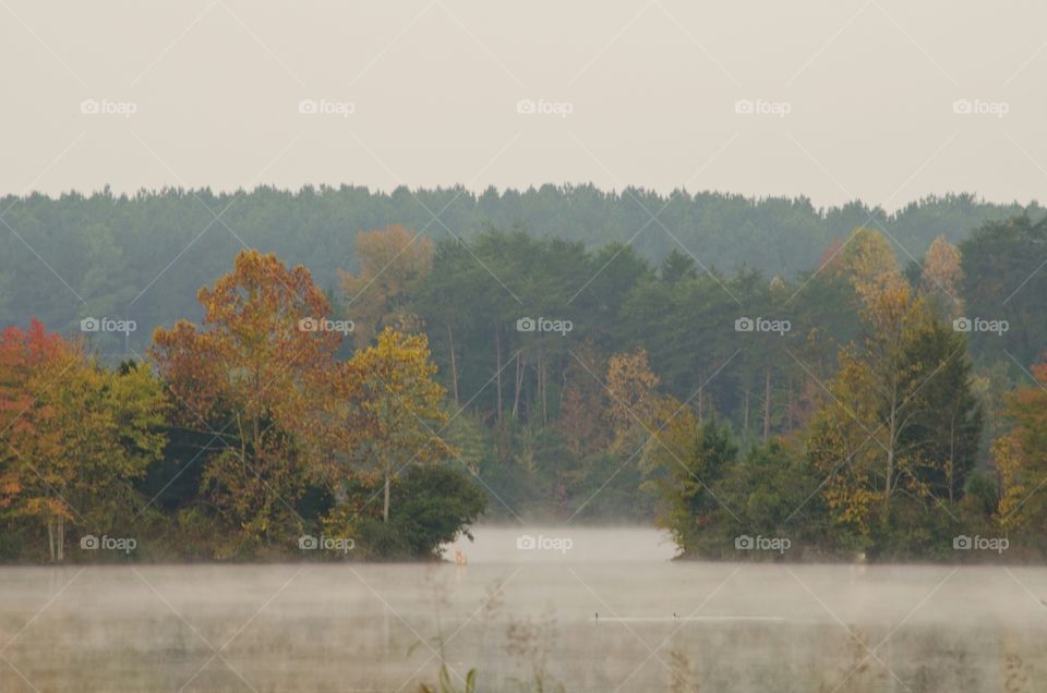 fall at the lake