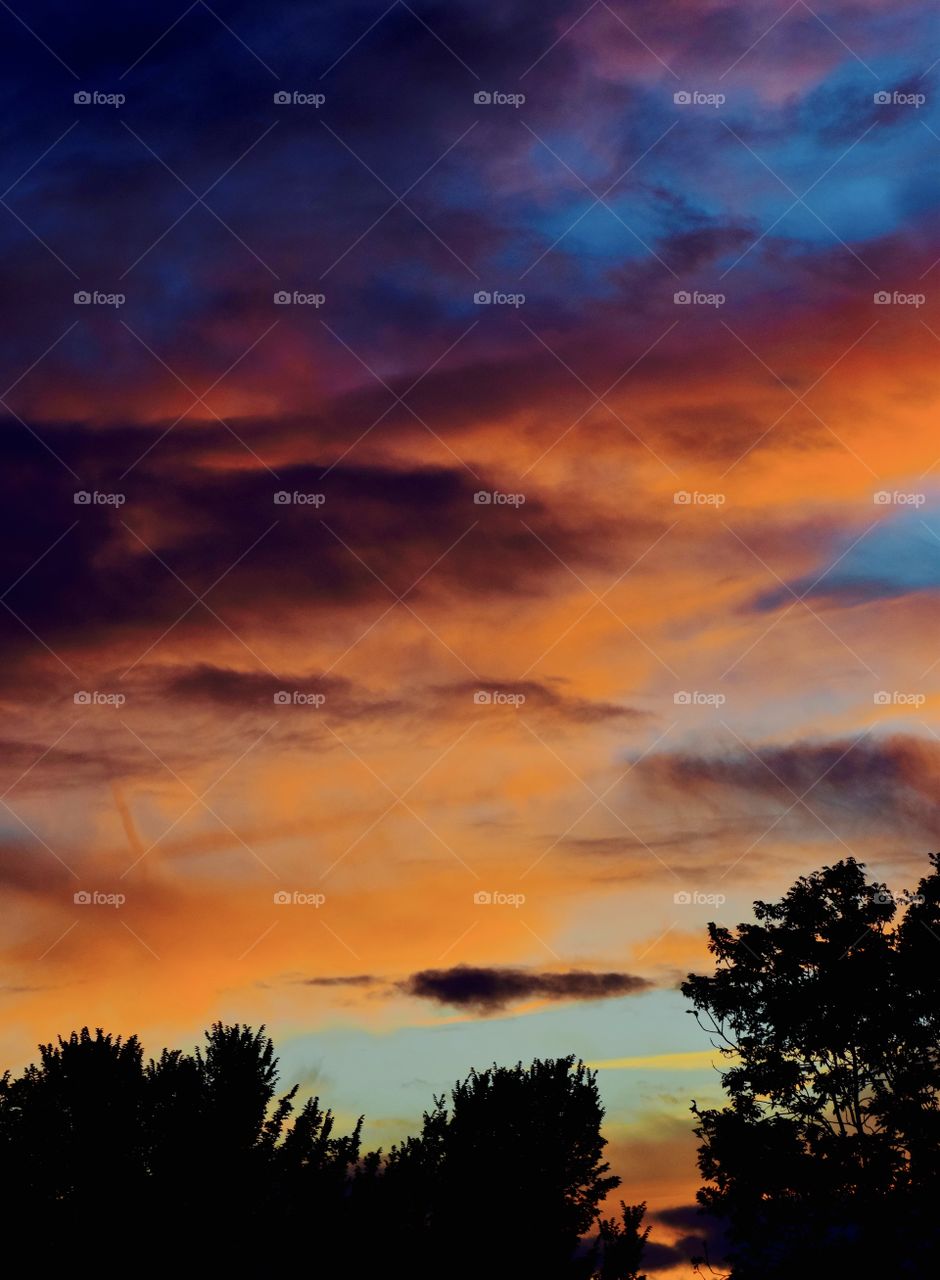 colourful view from my
 bedroom window