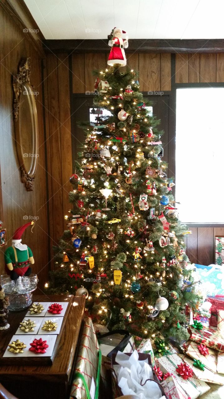 Christmas Tree 2014. Family Christmas Tree 2014