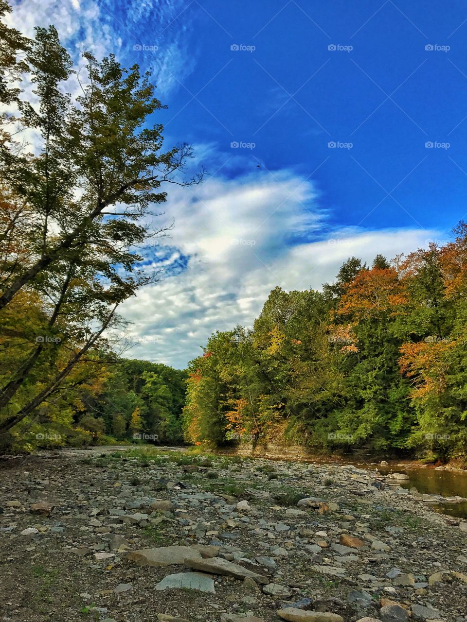 Cazenovia creek