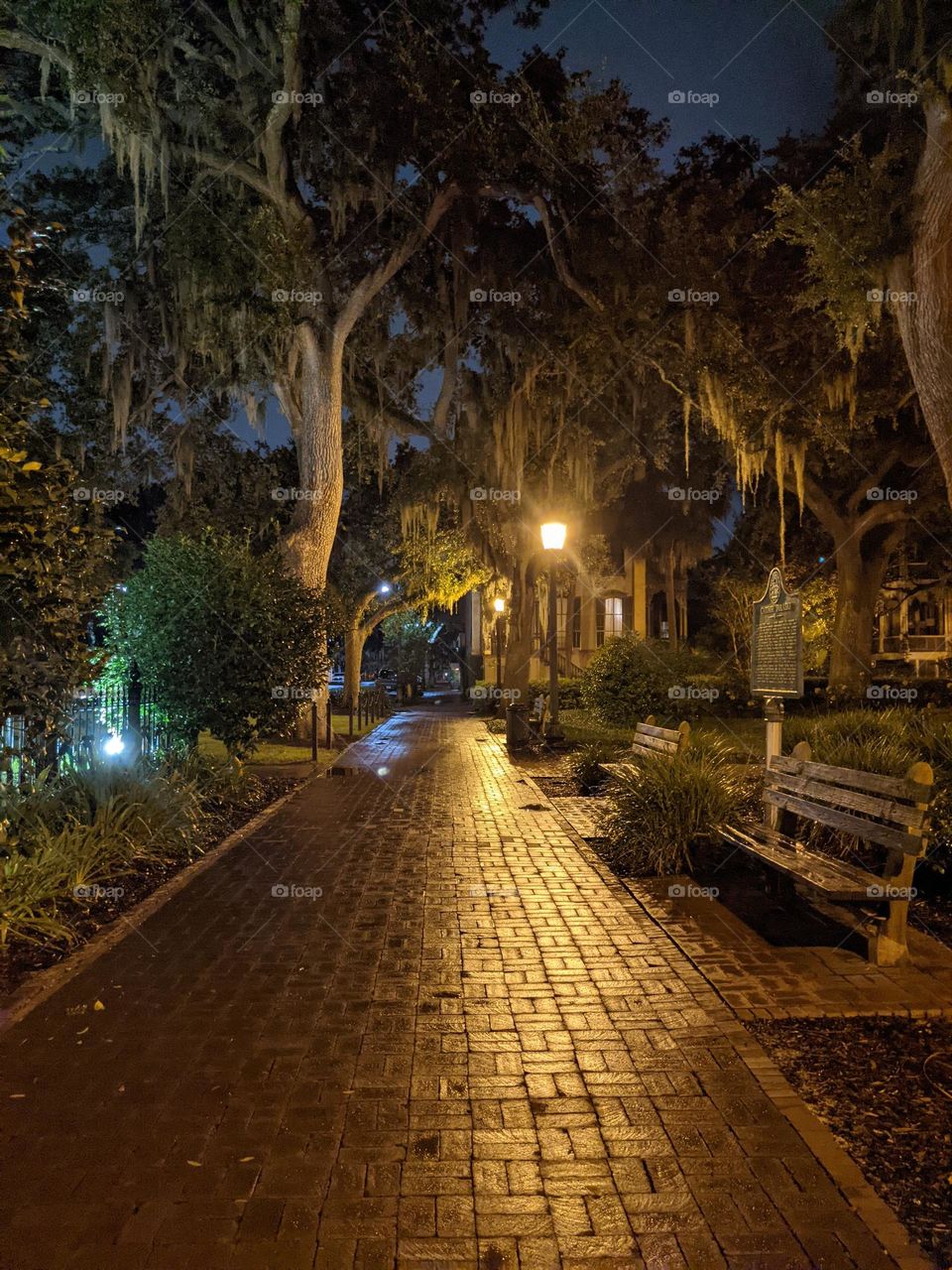 Midnight in Savannah