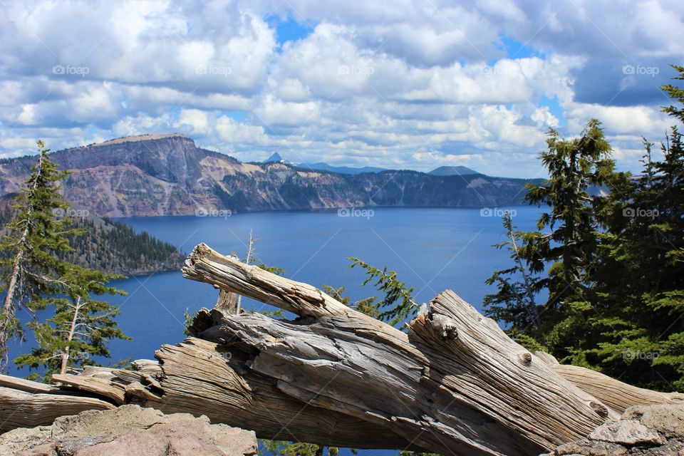 Crater Lake National park, Oregon USA; cloudy, dead tree in foreground, still water