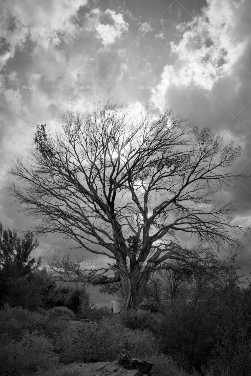 Storm clouds 