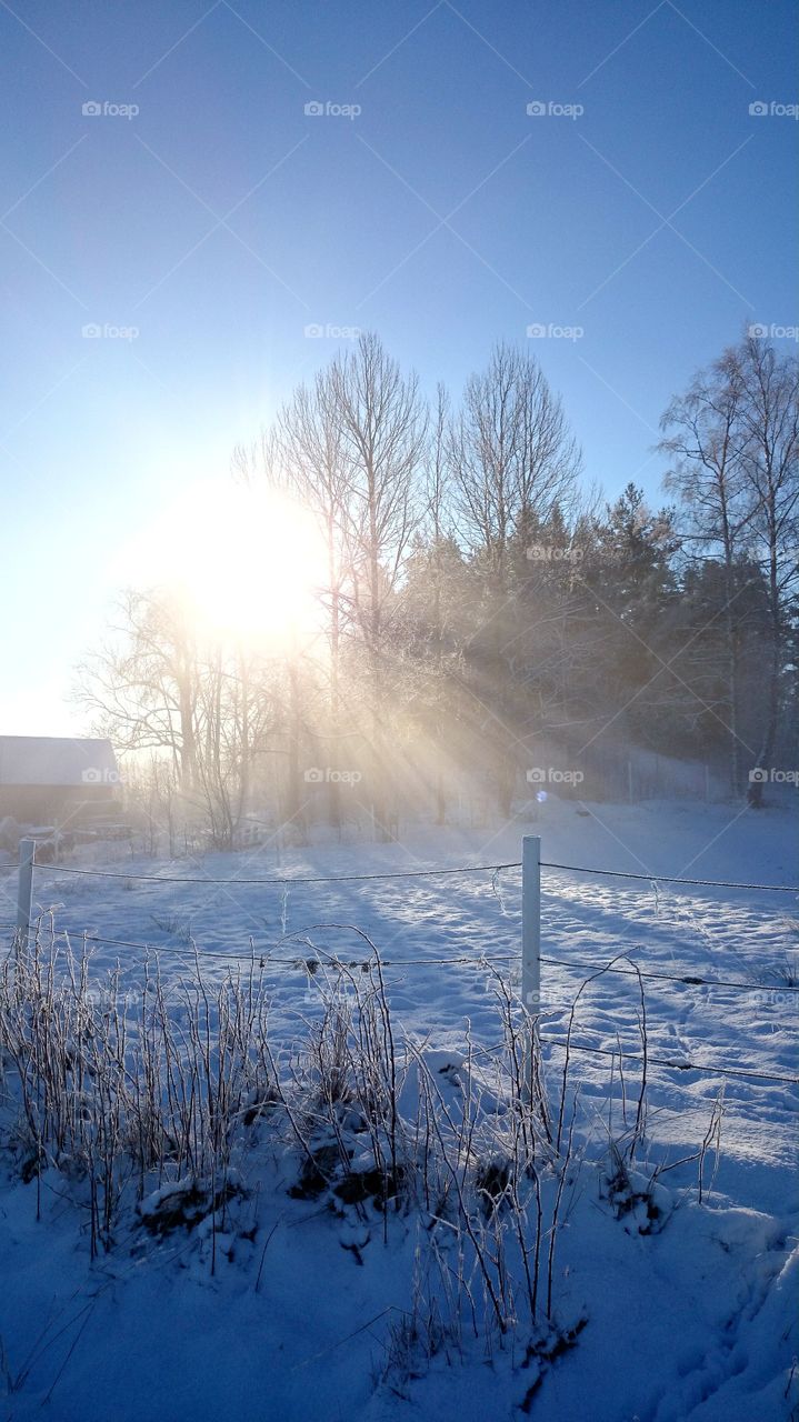Sunrays a wonderful winterday 