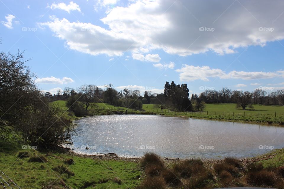 Lake in the sunshine